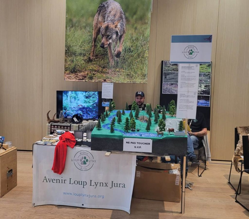 Avenir Loup Lynx Jura au Festival Salamandre