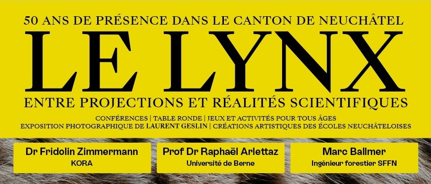50 ans de présence du lynx dans le massif du Jura!