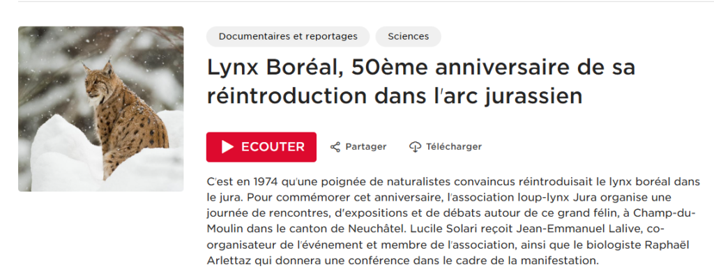50 ans du retour du Lynx en Suisse: Avenir Loup Lynx Jura fait écho dans les médias