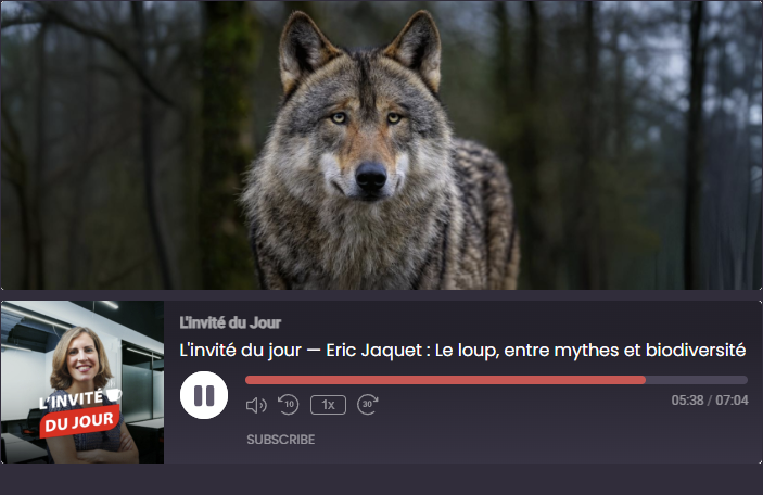 Eric Jaquet, président de l’association Avenir Loup Lynx Jura, était l'invité de Pharefm le 27 octobre 2025 sur le thème: Le loup, entre mythes et biodiversité.