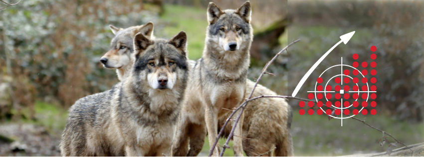 En quelques chiffres : la 